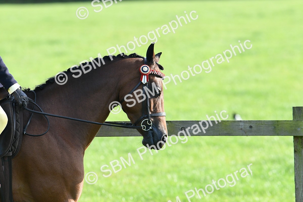 SBM_52358 - S22 - 1st Ridden Show & Show Hunter Pony