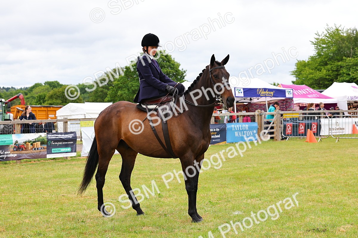 SBM_02759 - Class 9-11 Side Saddle including LIHS Rising Star Ladies Show Horse