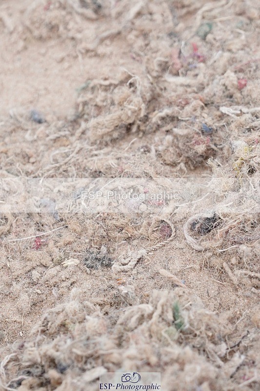 250505-105856-04187 - Cls 15 10 Years and Under