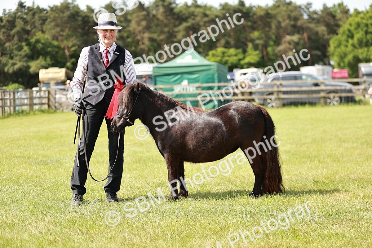 SBM_01922 - Class 14-23 - Mountain & Moorland In Hand Non Welsh