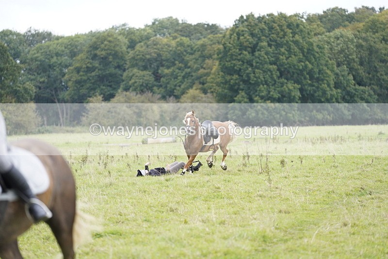 _DSC7902 - Time at Photographer 11:57 to 12:36