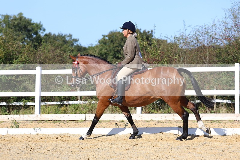 3E7A5746 - Class 10: Riding Horse