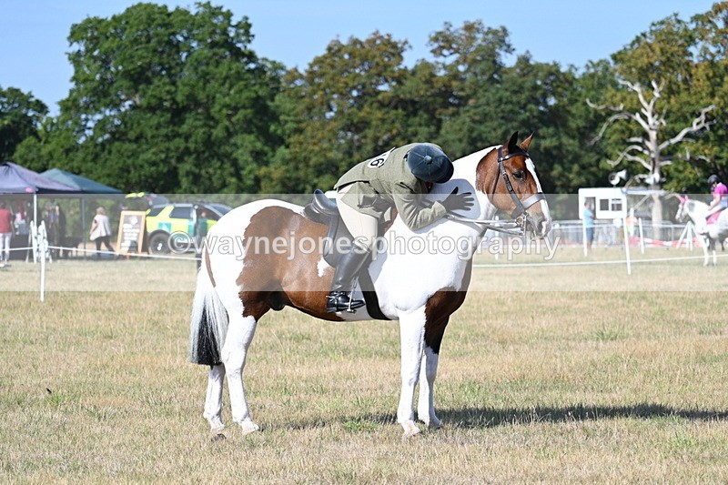 WJ7_2968 - Class 8 Ridden Tack & Turnout
