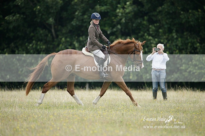 BVRC 030721 13 - Bourne Valley Riding Club Dressage 03/07/21