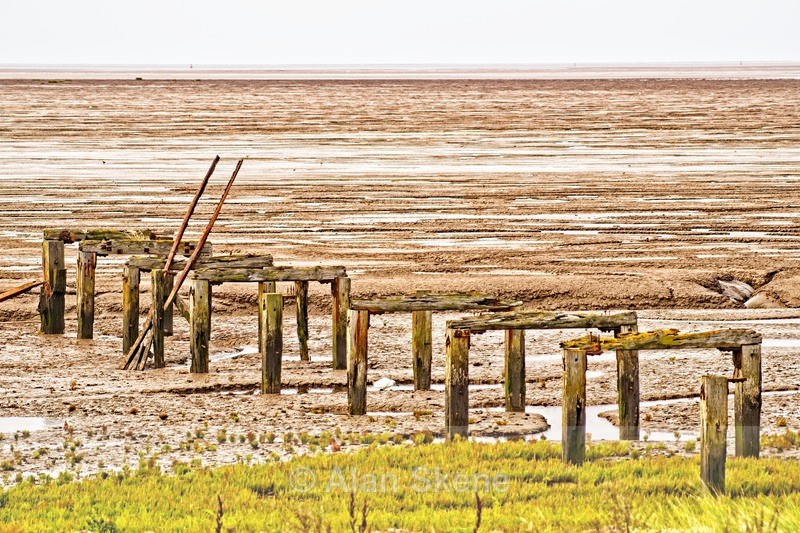 DSC05770 - Norfolk