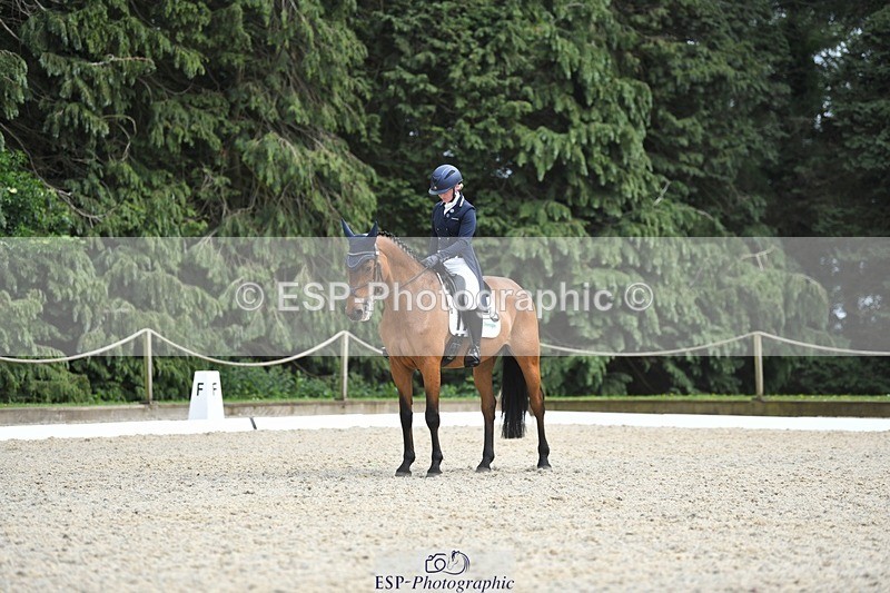 230525-154819-03314 - 329-VINTAGE_GRAFFITI-Alice_Hallows-WEDTrotUp+DR