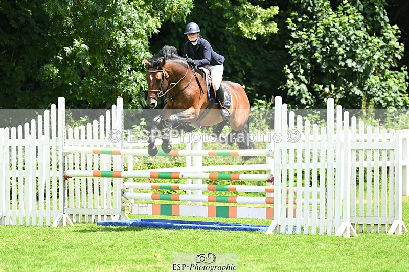 250614A-133031-06869 - Cls 20 Foxhunter