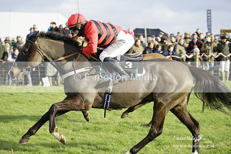 PtP 300122 501 - South Dorset Hunt - Point-to-Point Races 30/01/2022