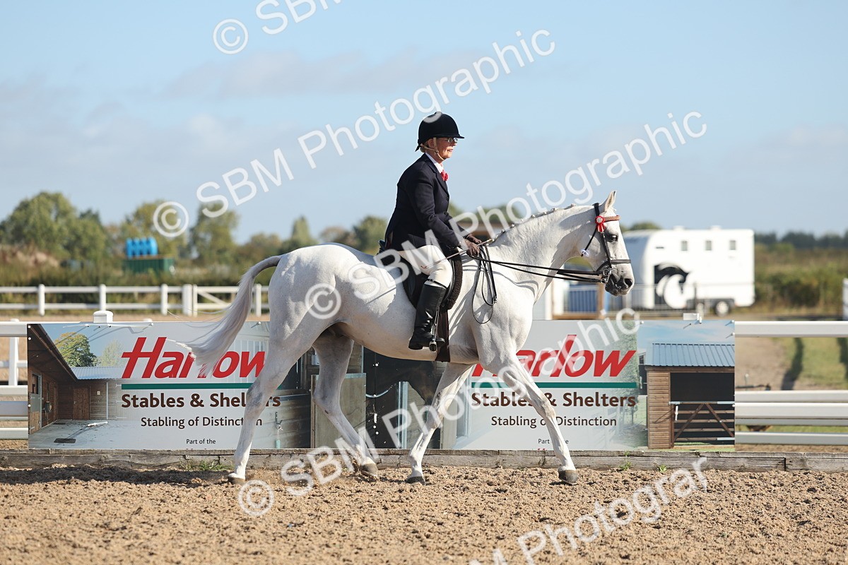 SBM_22272 - Class 803 - Ridden Combination 65+