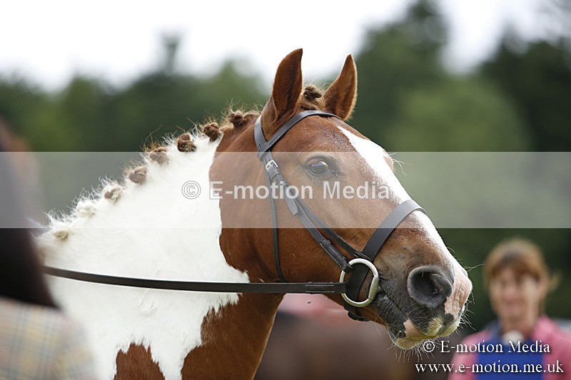 BVR160717-60 - Ring 1 BVRC Show 16/07/17