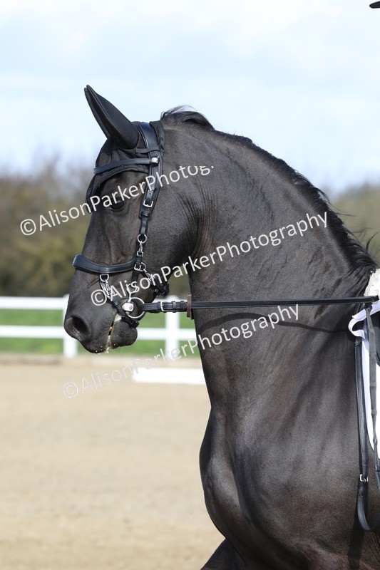 20260314-2135 - CT2 - Prelim 1