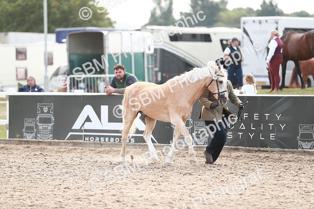 SBM_13845 - Class 209 IH Veteran Pony