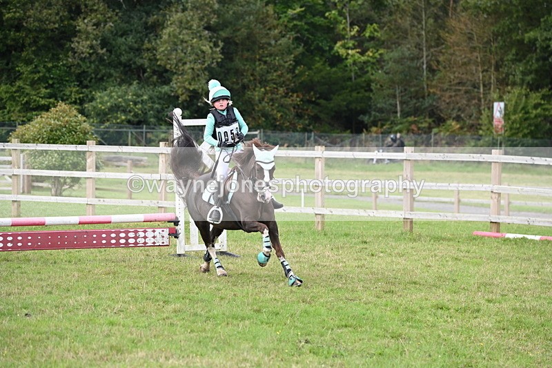 WJ6_1452 - 60cm Time 11:51 to 12:10