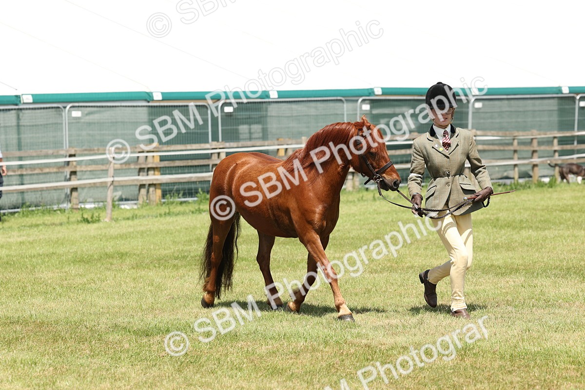 SBM_06855 - Class 26-30 - Mountain and Moorland Ridden