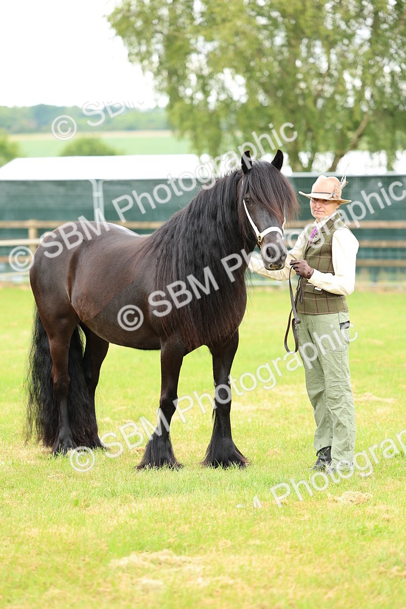 SBM_00556 - Class 58-67 - M&M Non Welsh Pony In hand