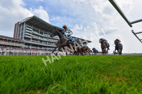 170524-Race 1-Betty Clover-6046 - Race 1 2.15pm Clipper EBF Marygate Fillies' Stakes