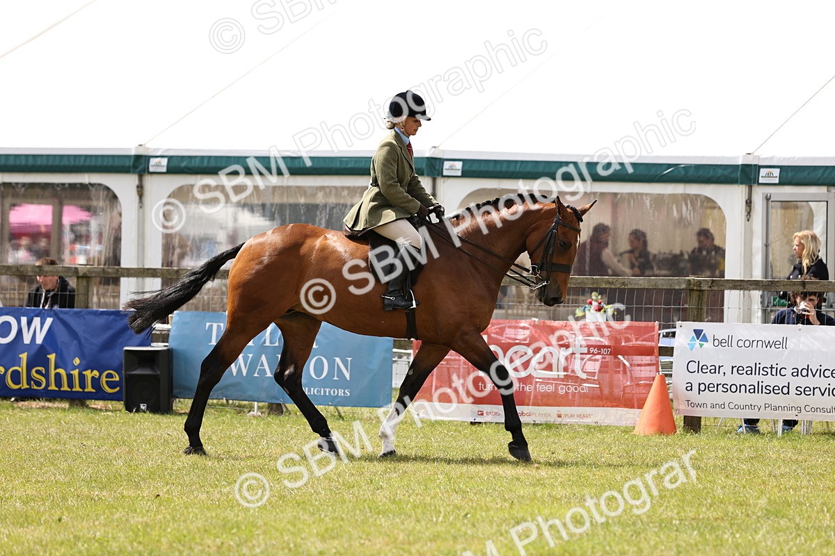 SBM_14711 - Class 88-89 - LIHS BSHA Rising Star of Ridden Hunter Type