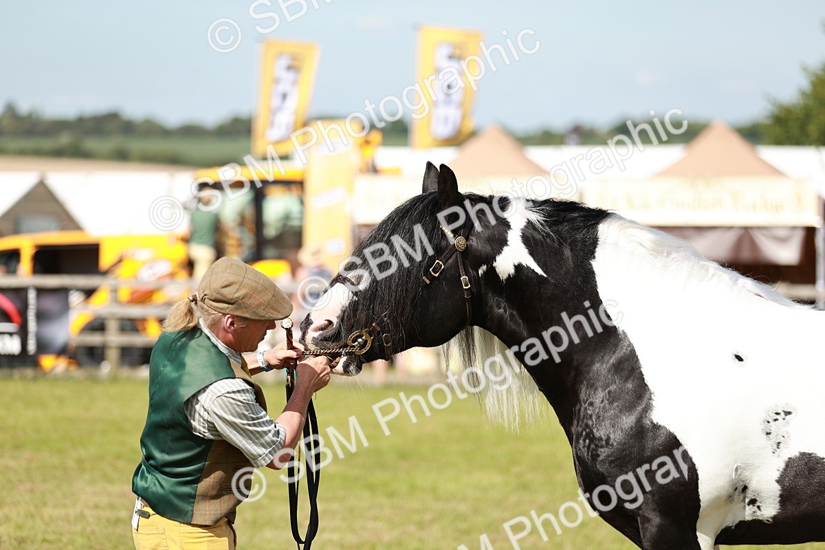 SBM_08862 - Class 63-65 - Traditional Gypsy Cobs In Hand & Ridden