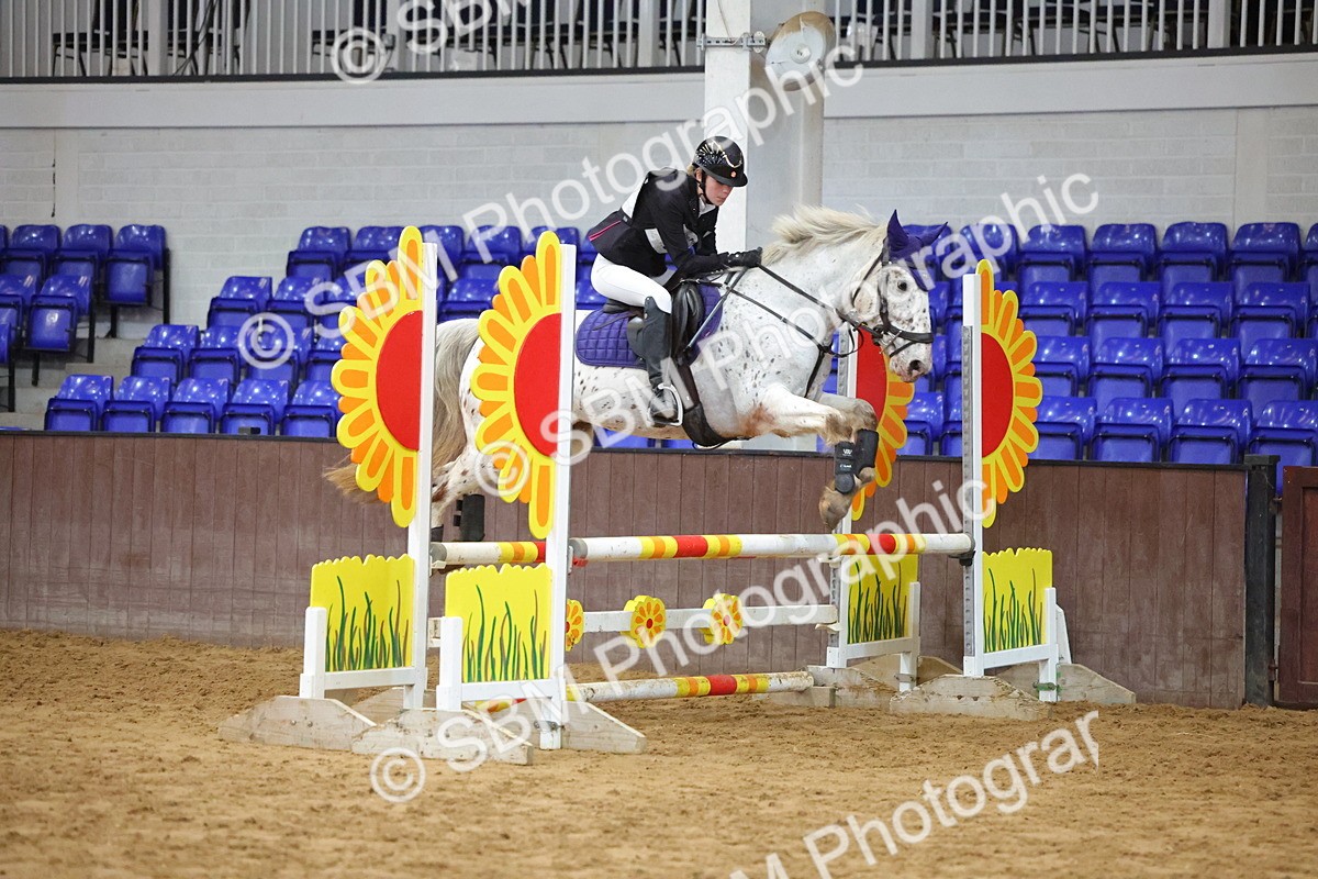 SBM_001906 - Class 5 - Show Jumping 80cm