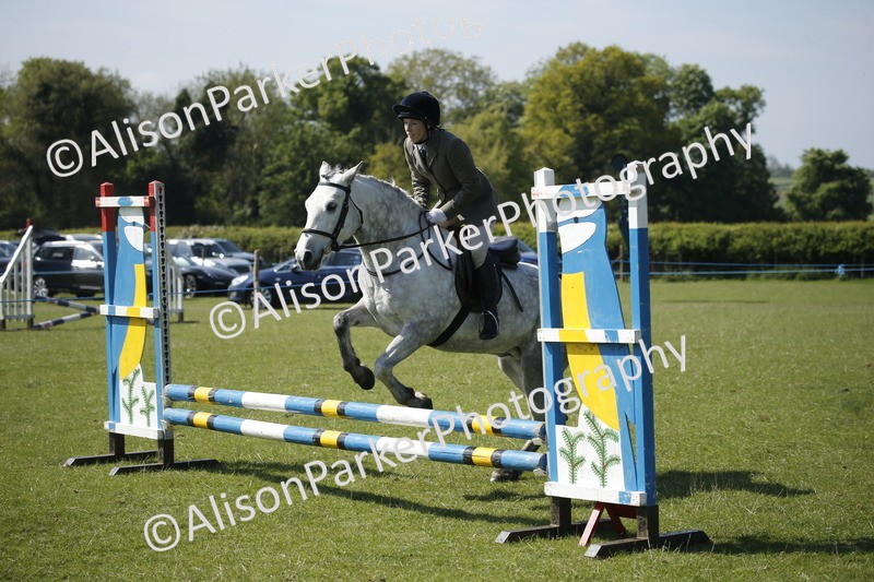 20250427-2073 - Class 13 - Novice Jumping 60cm