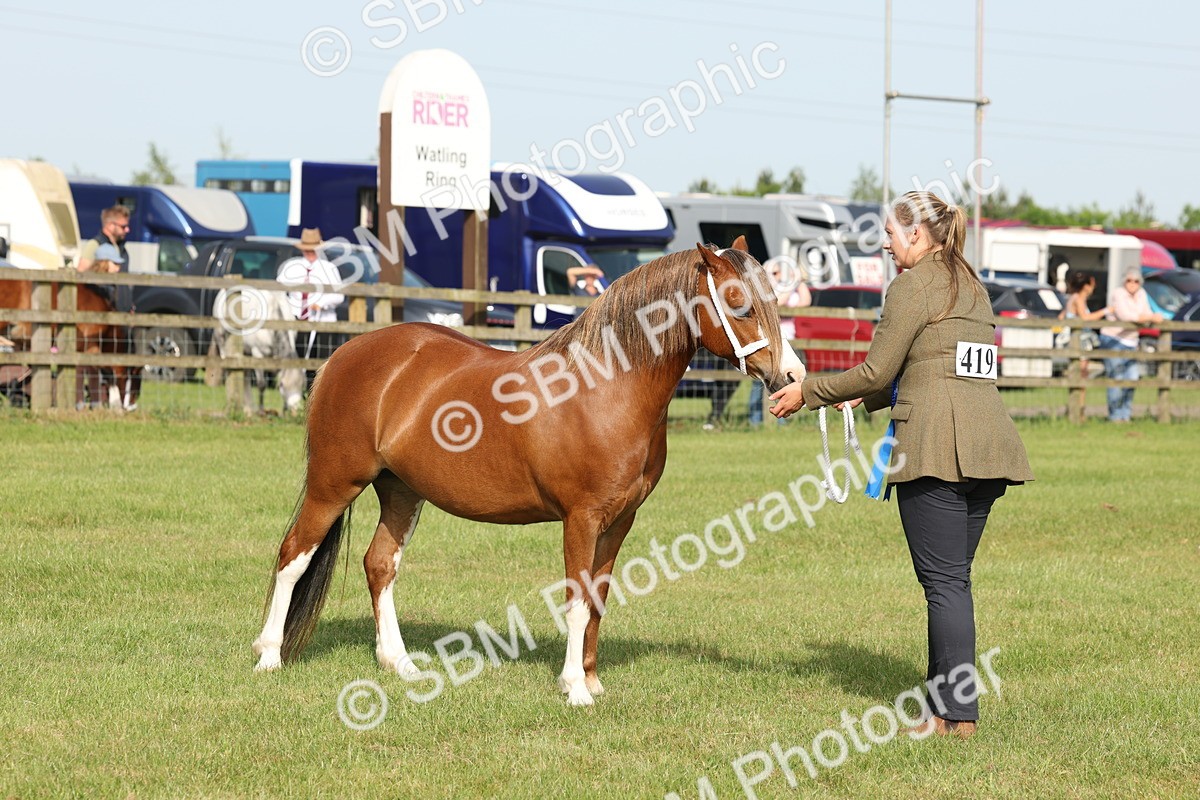 SBM_00648 - Class 6-13 - Mountatin and Moorland In Hand Welsh Breeds