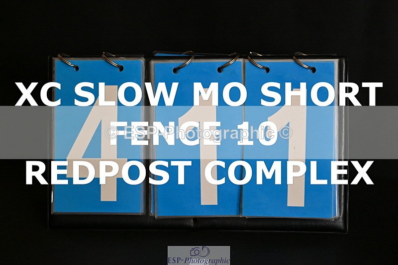 ESP_411 - F-411-Harriet.Constable