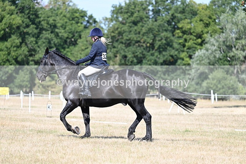 WJ7_9909 - Time 11:03 to 11:28