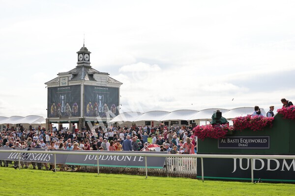 yr18082021r4-65 - Race 4 3.35pm Juddmonte International Stakes (British Champion Series race)