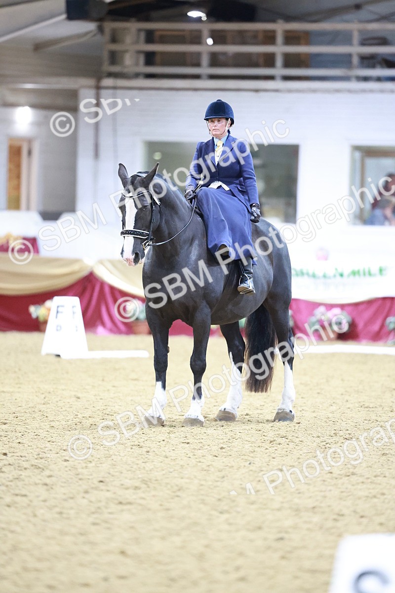 SBM_09908 - Class 61 - Dressage to Music