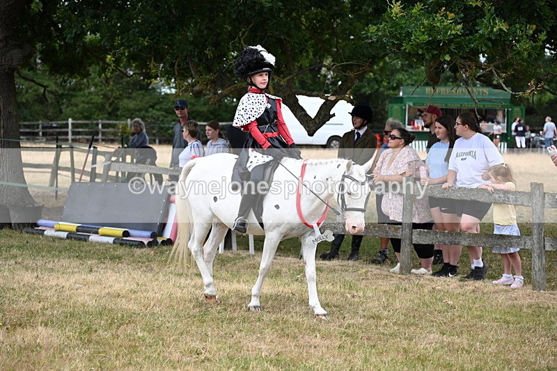 WJ6_4612 - Class 11 Fancy Dress