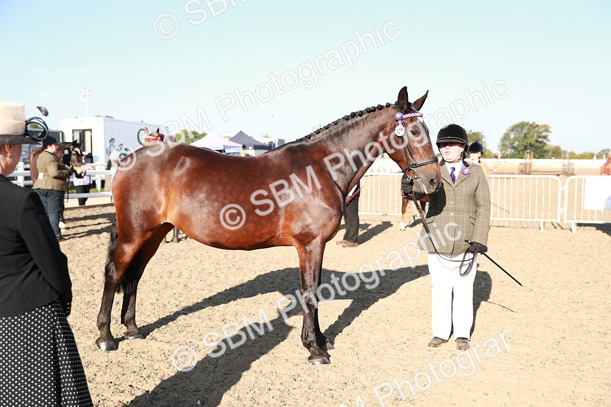 SBM_00070 - Class 40 Best Turned Out IH