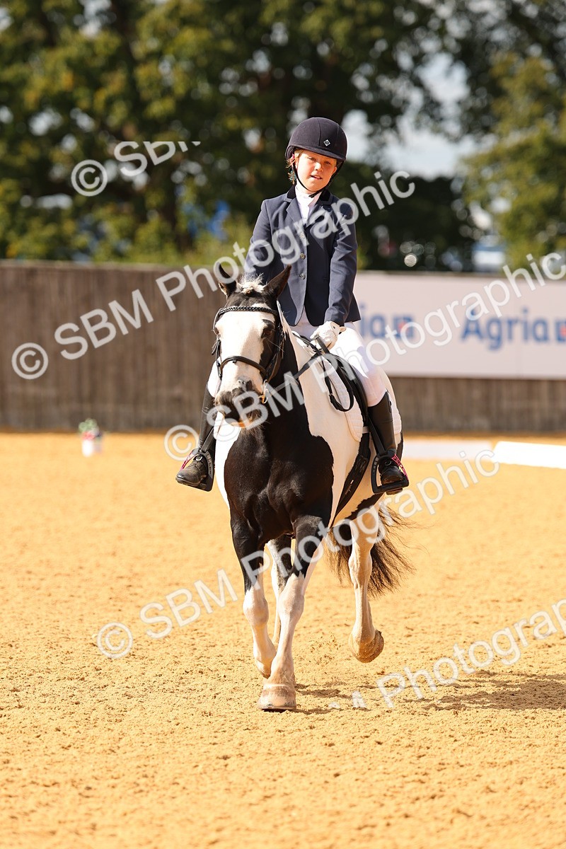 SBM_48300 - D22 - Junior Championship - Intro B