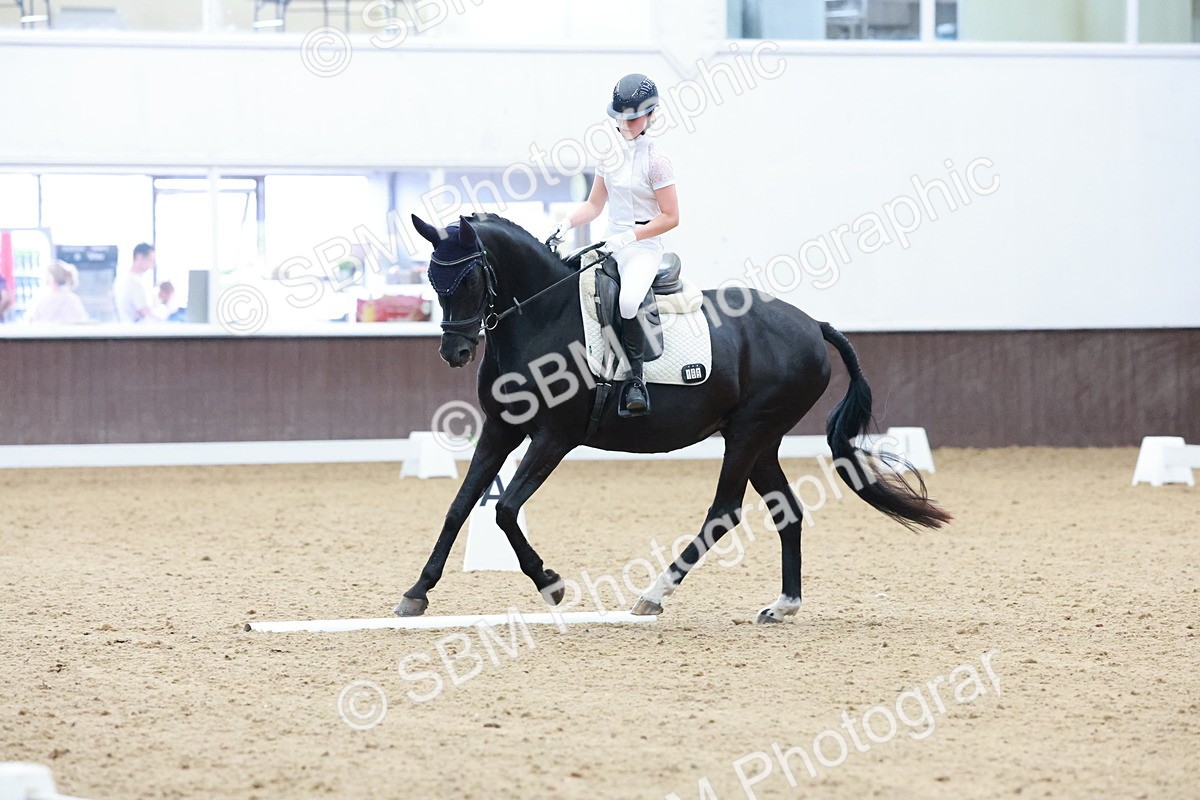 SBM_002340 - Novice 2 - Elementary 1