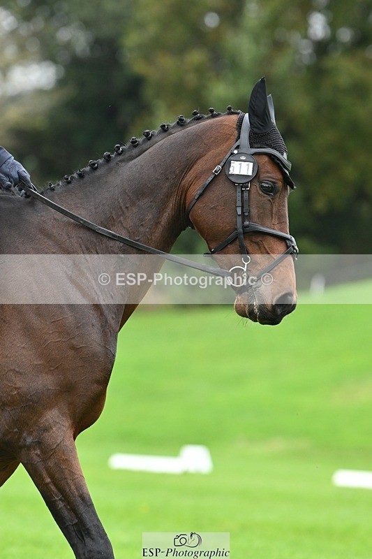 241024-121151-03333 - 511-Rosie.Doe-LOUIS