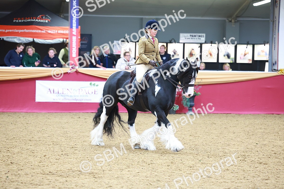 SBM_06276 - Class 12R - Ridden Pre-Vet