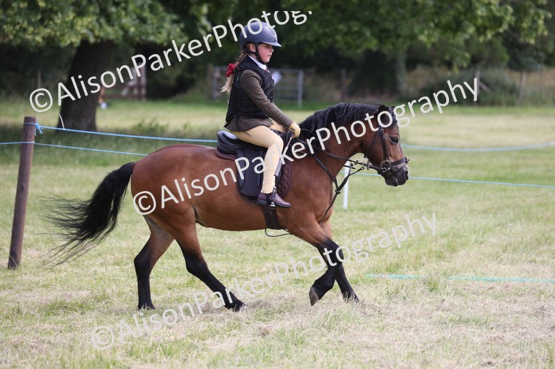 20260614-1838 - Class 21 - Novice Working Hunter Pony
