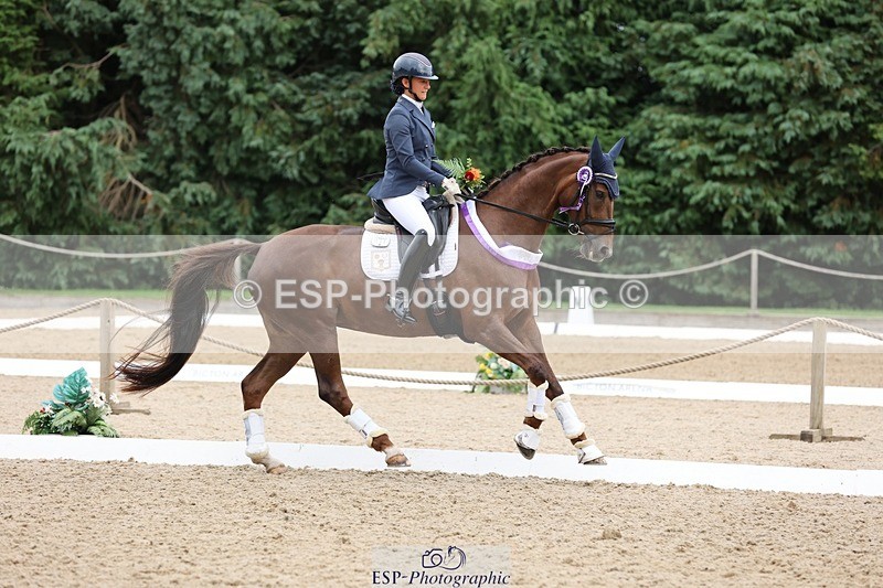 240810-170511-04538 - Elementary Silver