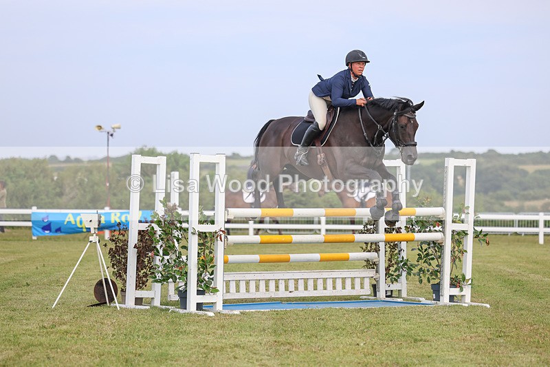 3E7A0840 - Class C: Showjumping Senior Foxhunter