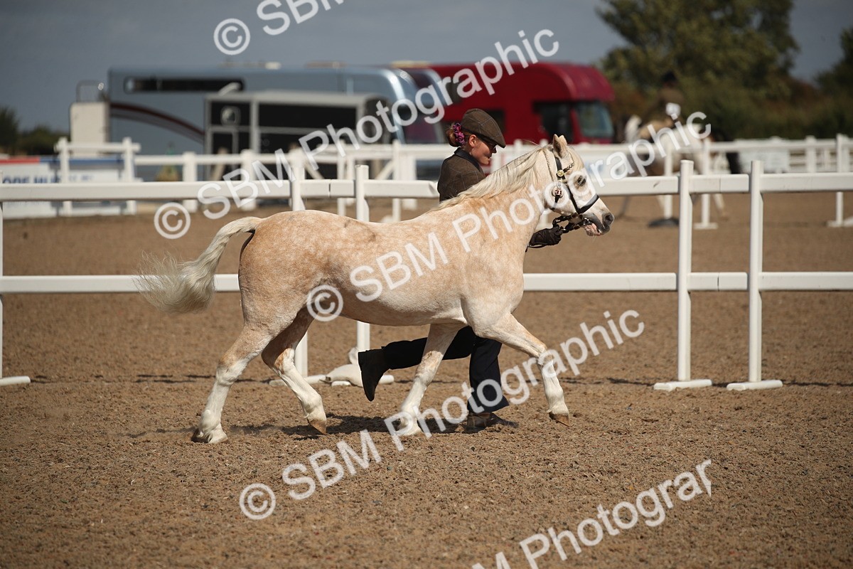SBM_23389 - Class 604 - 2026 - Area IH Diamond