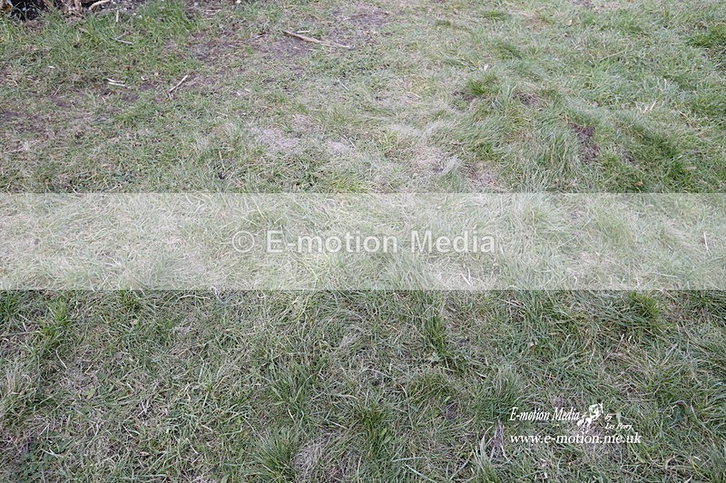 PtP 290123 0886 - Combined Services Point-to-Point  Presentations 05/02/23