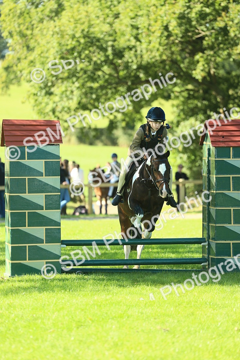SBM_37539 - S29 - Novice & Newcomers Working Hunter Pony