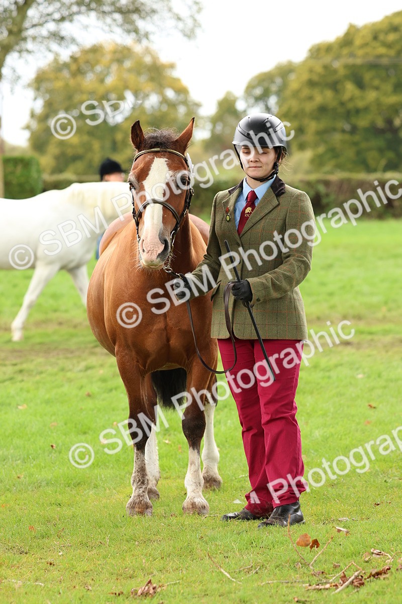 SBM_39510 - S24 - Young Veteran In Hand