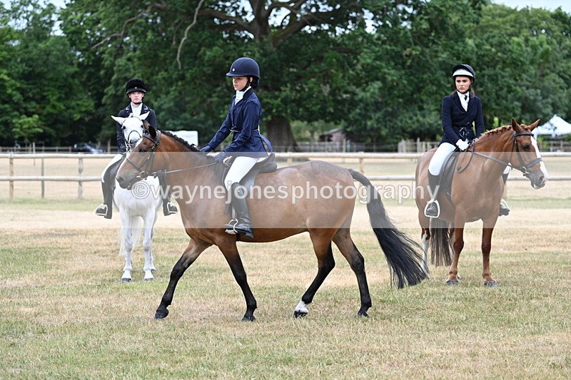 WJ7_0495 - Class 2 Best rider