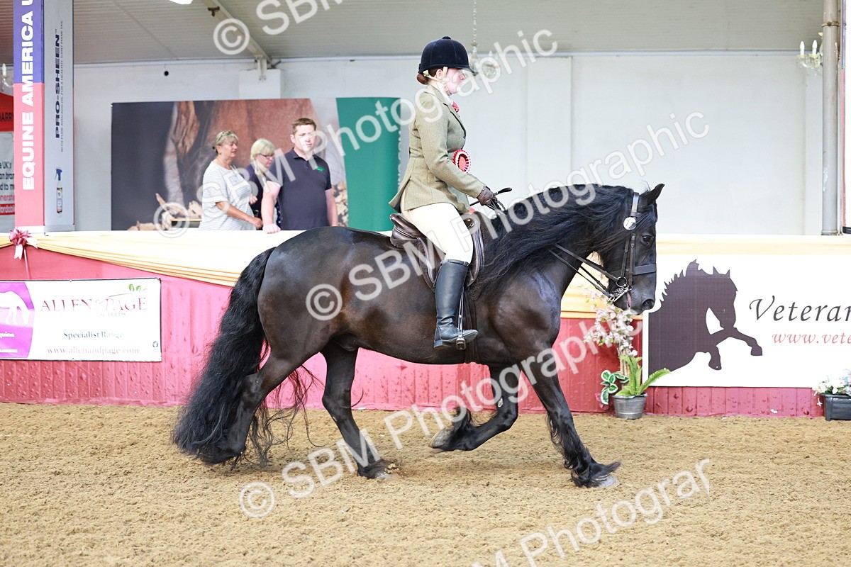 SBM_12011 - Class 102 - Equitation (Best Rider) Adult