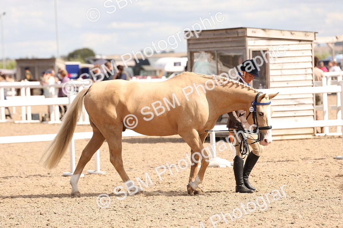 SBM_14747 - Class 208 - IH Veteran Horse