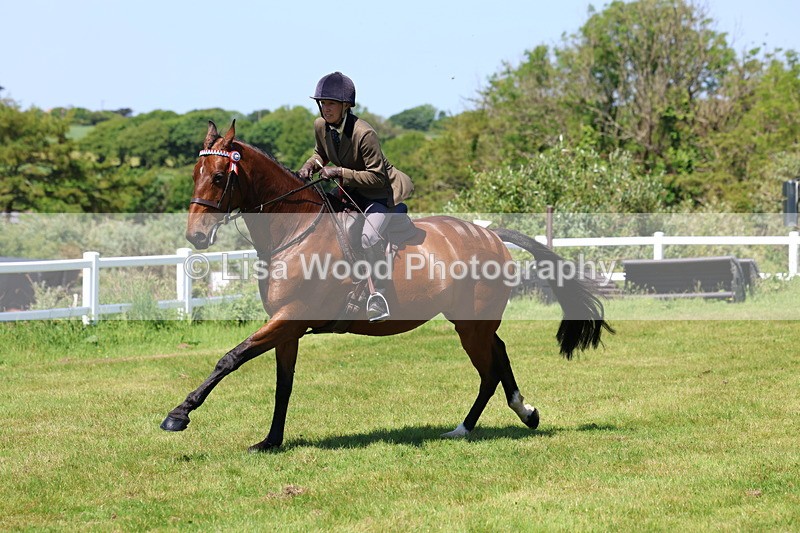 3E7A8084 - Working Hunter Championship