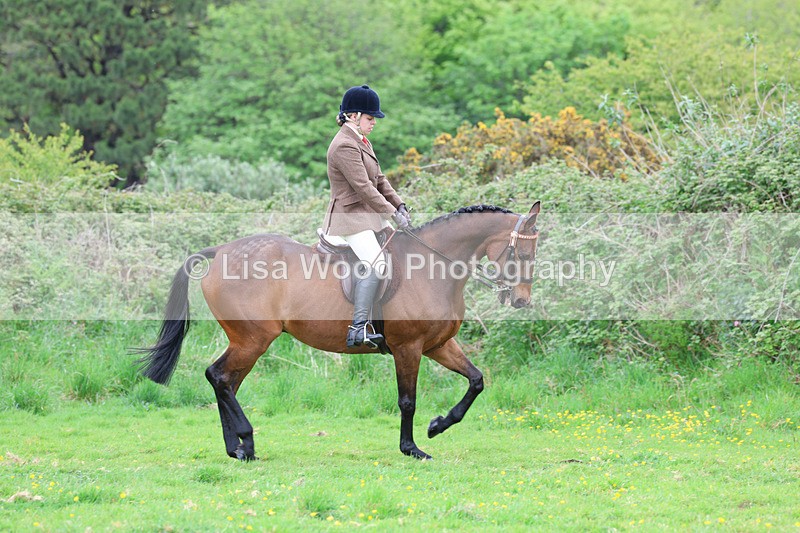 3E7A1963 - Class 10: Ridden Sports Horse