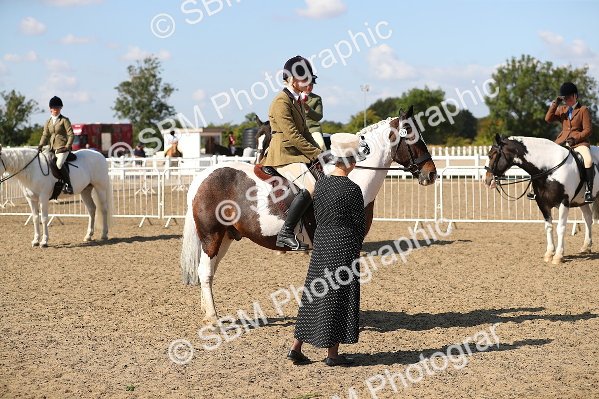 SBM_03235 - Class 44 Riding Club Horse/ Pony