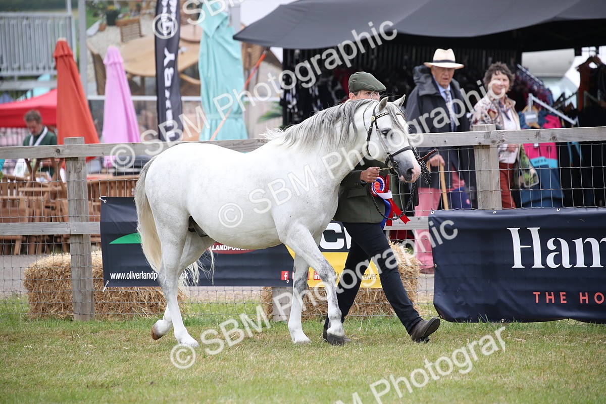 SBM_09731 - Ch 50 - Price Family Supreme In Hand