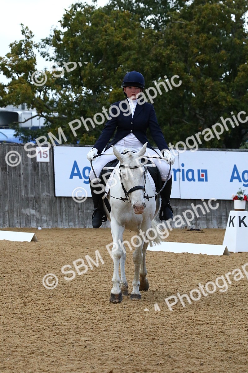 SBM_20979 - D5 - Small Tour Championshop Intro 2